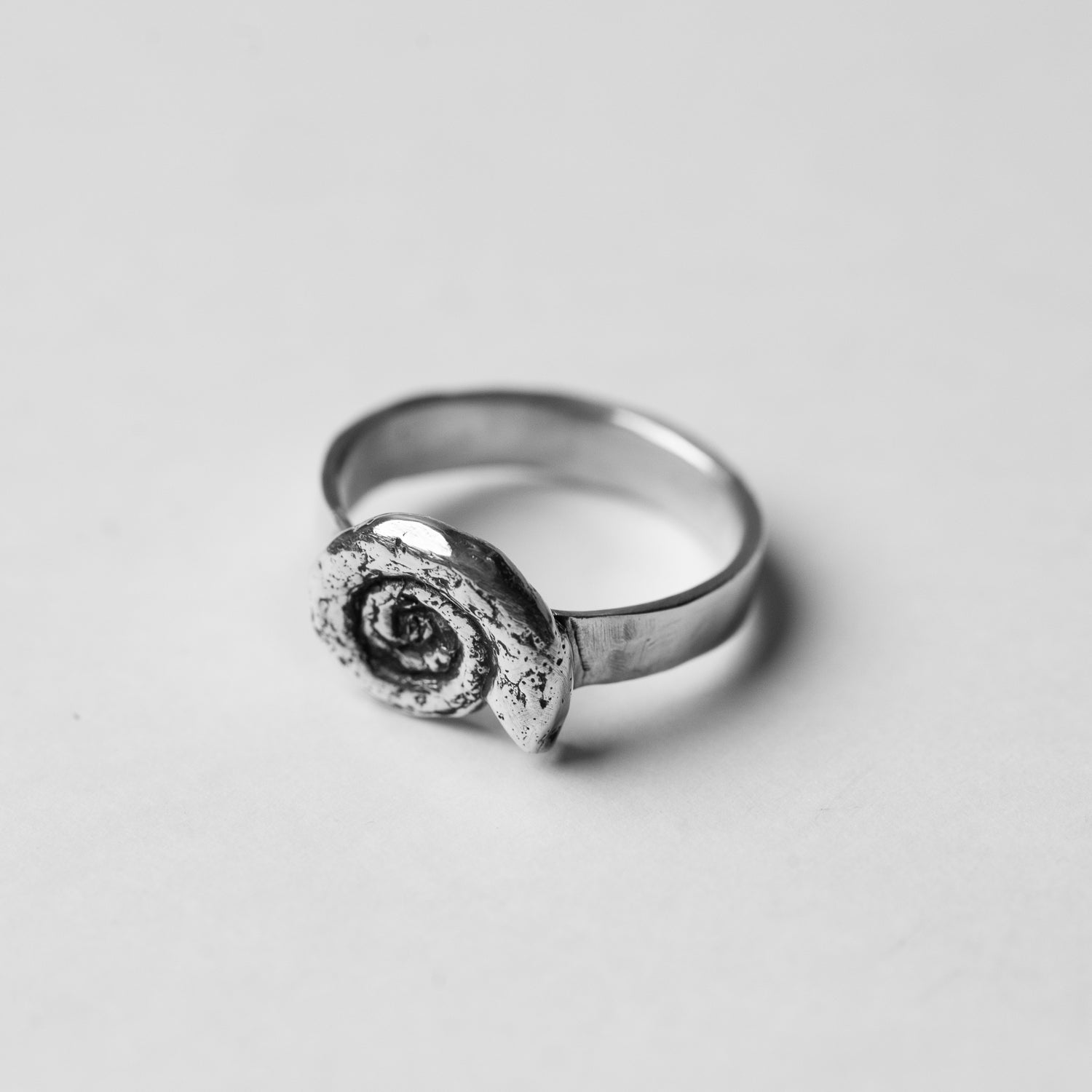 Fossil - Prehistoric Ammonite Ring, Sterling Silver